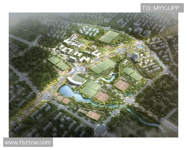 北京足球队战术解析与未来发展方向的深度探讨