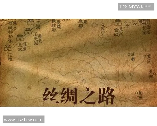 代怀博：探索现代科技与传统文化的交融之路